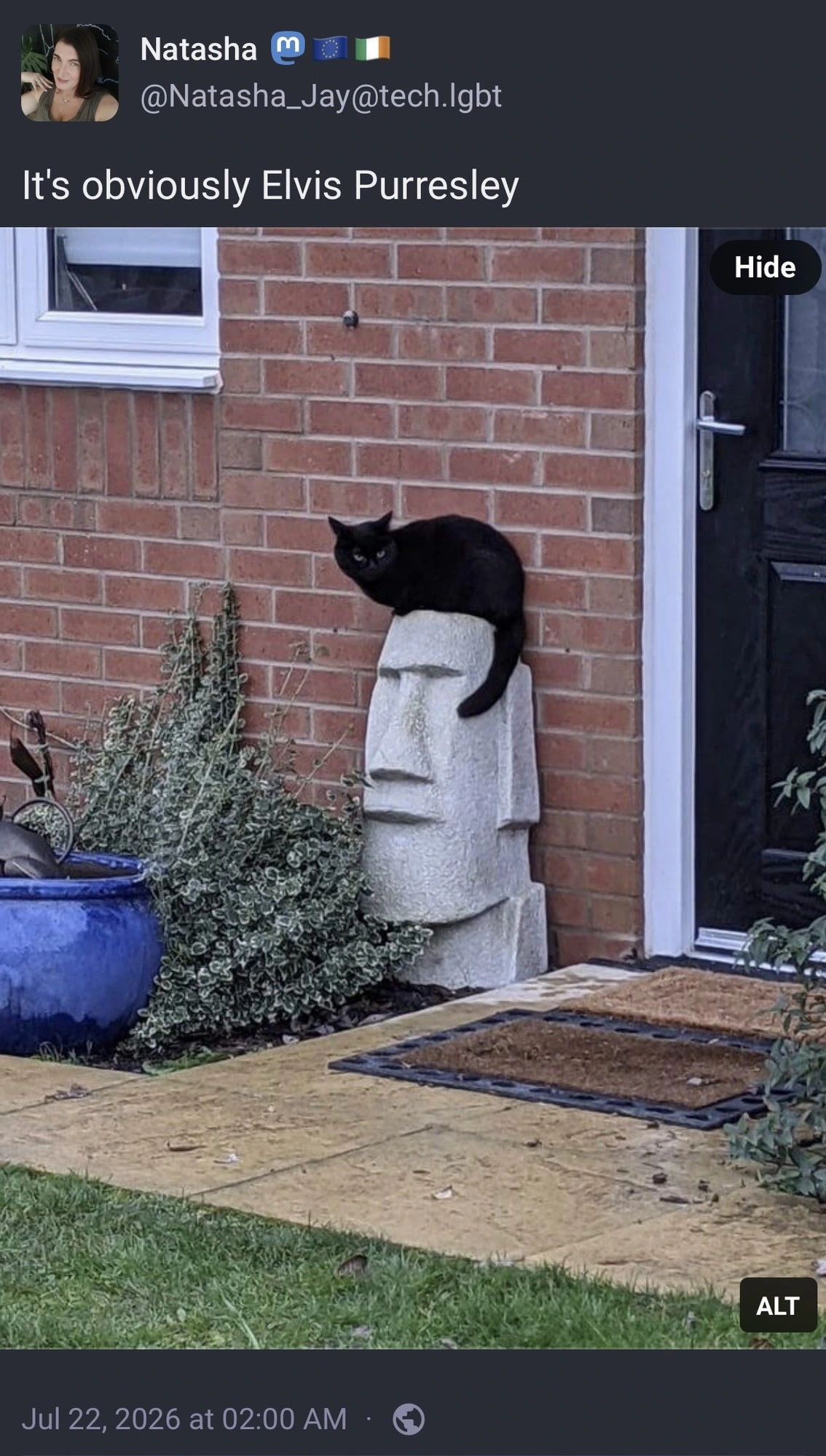 Mastodon post by user @Natasha_Jay@tech.Igbt with the caption, "It's obviously Elvis Purresley". Below the caption is a photo of a black cat sitting on top of a Moai statue (an Easter Island head garden ornament), creating an amazing resemblance to Elvis Presley's hairstyle.