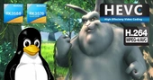 Rockchip RK3588 and RK3576 H.264 and H.265 video decoders gain mainline Linux support - CNX Software