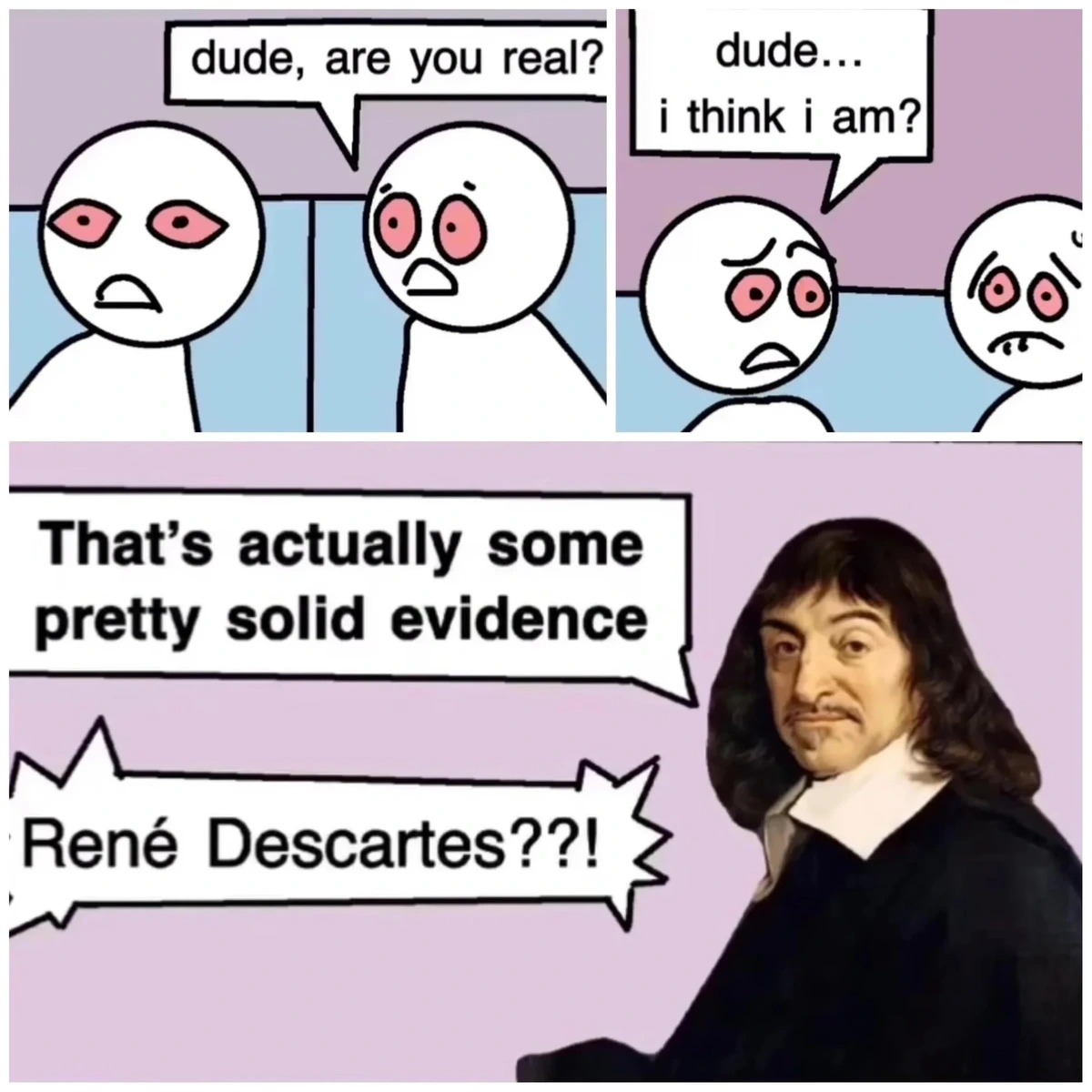 A comic. Two stoned guys, one asks "dude, are you real?". The other replies "dude… i think i am?" and then there's a guy who pops up saying "That's actually some pretty solid evidence." The two stoned guys say "René Descartes??!" since the picture of the man that showed up is of him