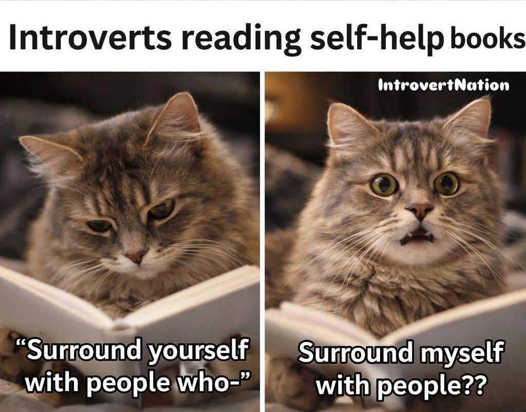 Two panel meme of a cat reading a book and looking shocked.

Title: Introverts reading self-help books
1: "Surrond yourself with people who-
2: Surround myself with people??