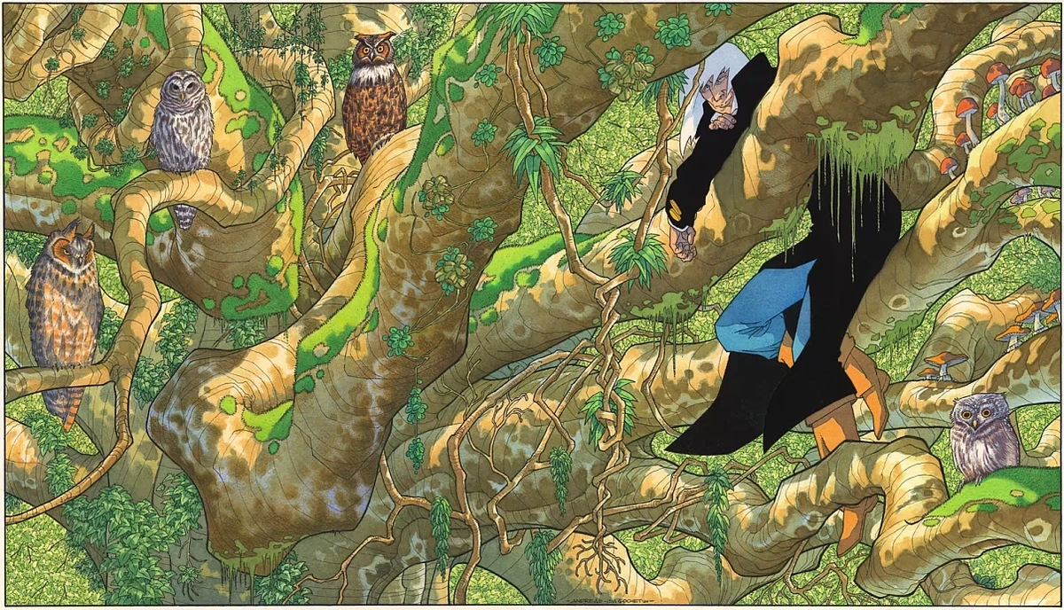 It's a jungle-type shot, with the four 'buddies' being various owls.  Read on for more.