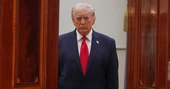 You Can Smell It Now: The Trump Presidency Is in Total Free Fall