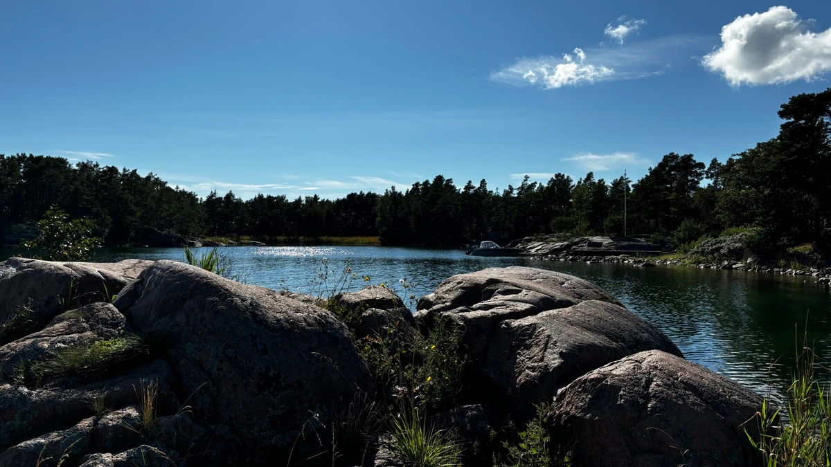 Photof from a little island of a calm, idyllic cove surrounded by forest.