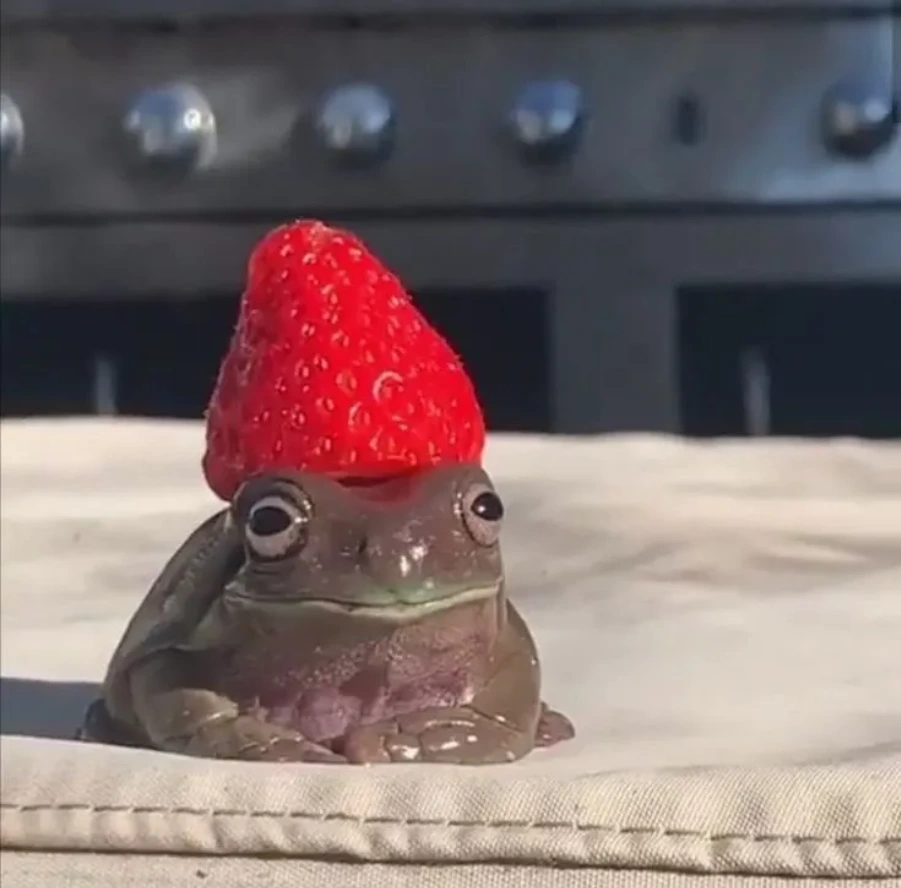 i tiny lil' froge with a cut strawbery on it's head