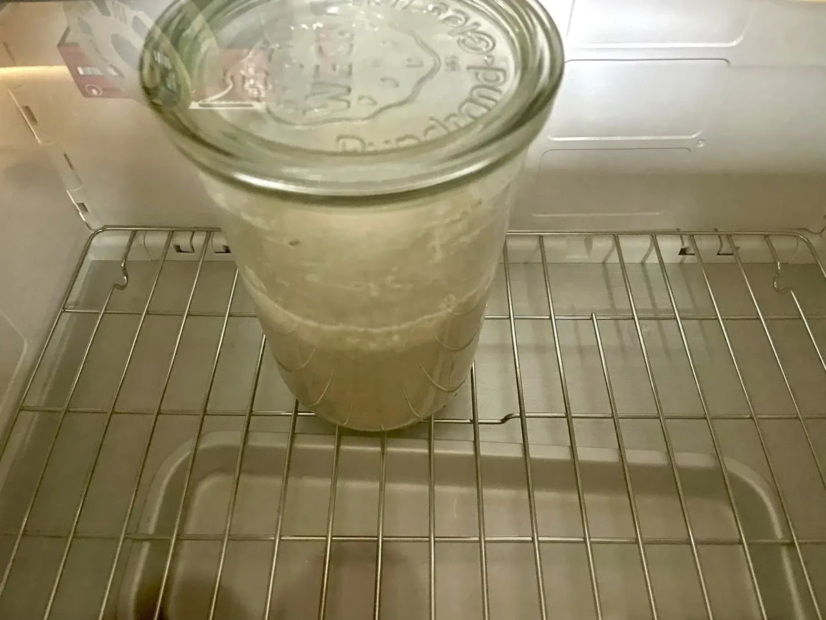 Meet Lewys, my first sourdough starter.