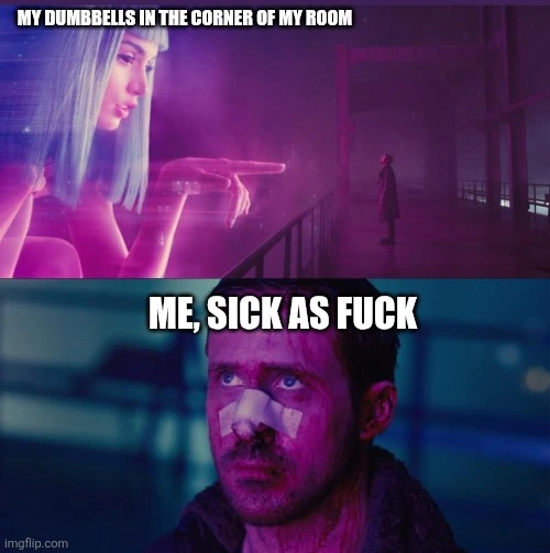 Top image: a scene from Blade Runner 2049 depicting a holographic image of a woman pointing at Ryan Gosling, with thee caption "My dumbbells in the corner of my room".
Bottom image: Ryan Gosling looking on with despair with the caption "Me, sick as fuck".
