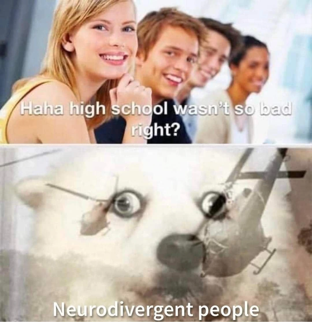 Picture in two halfs. The first half is a group of people sitting saying "Haha high school wasn't so bad, right?" while looking at you. The second half pictures a dog having a vietnam flashback with the caption "Neurodivergent people"