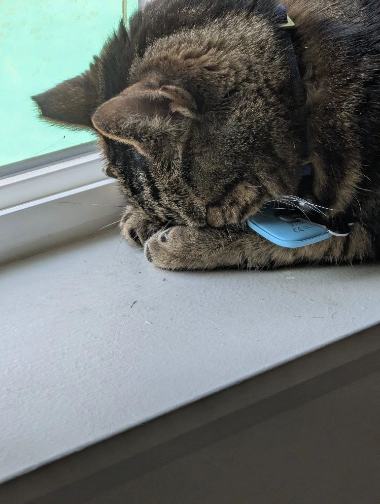 Spidey is so sleepy, and it is so bright. 