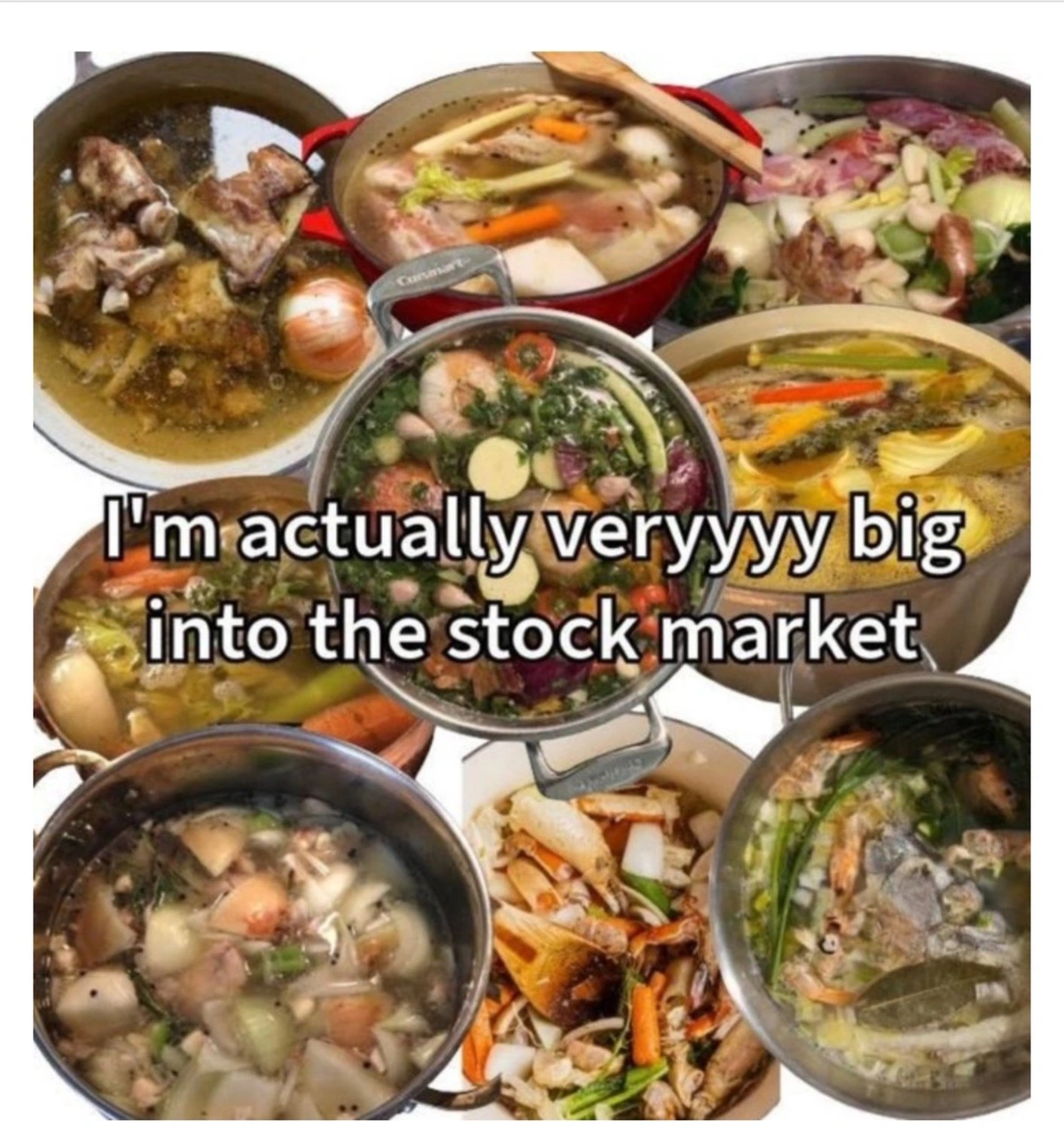 Image: multiple pots of meat and vegetable stock.  The caption reads "I'm actually very big into the stock market"