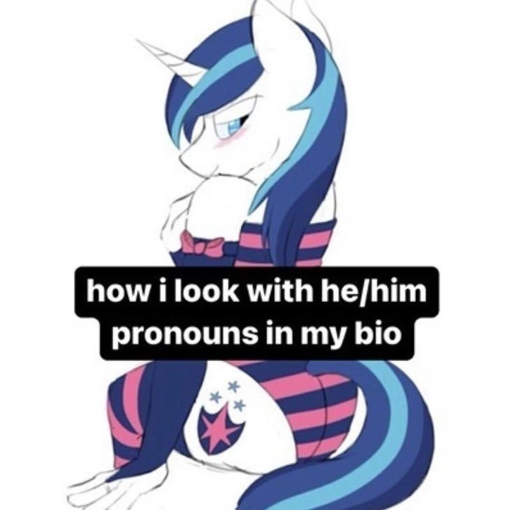 How I look with he / him pronouns in my bio, picture of a scantily clad unicorn in striped attire, goodness gracious