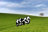 mu