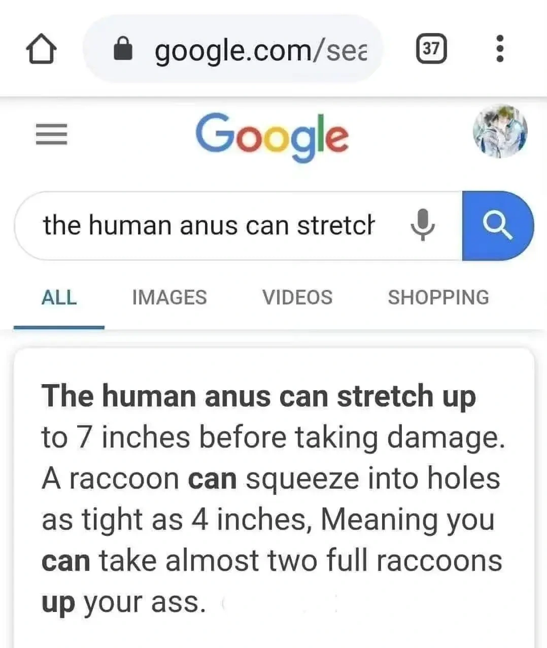 Two full raccoons y'all
