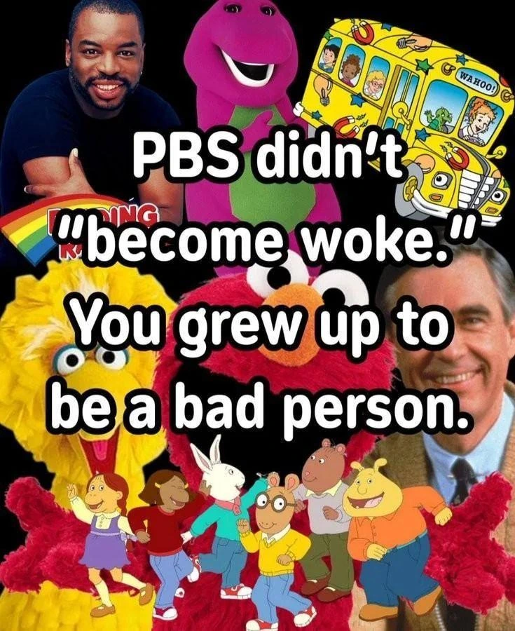 Meme with a elements from PBS shows in the background overwritten with the caption: PBS didn't "become woke." You grew up to be a bad person.
