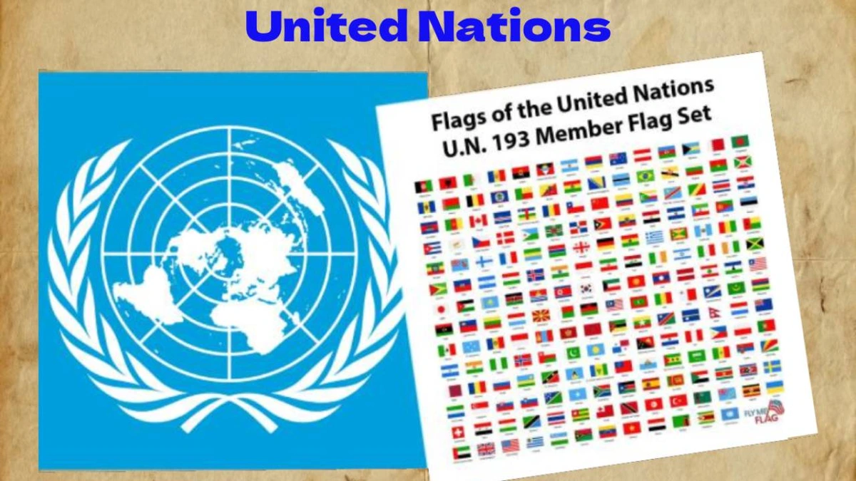 opinion, political, Kill them all order, International Law
