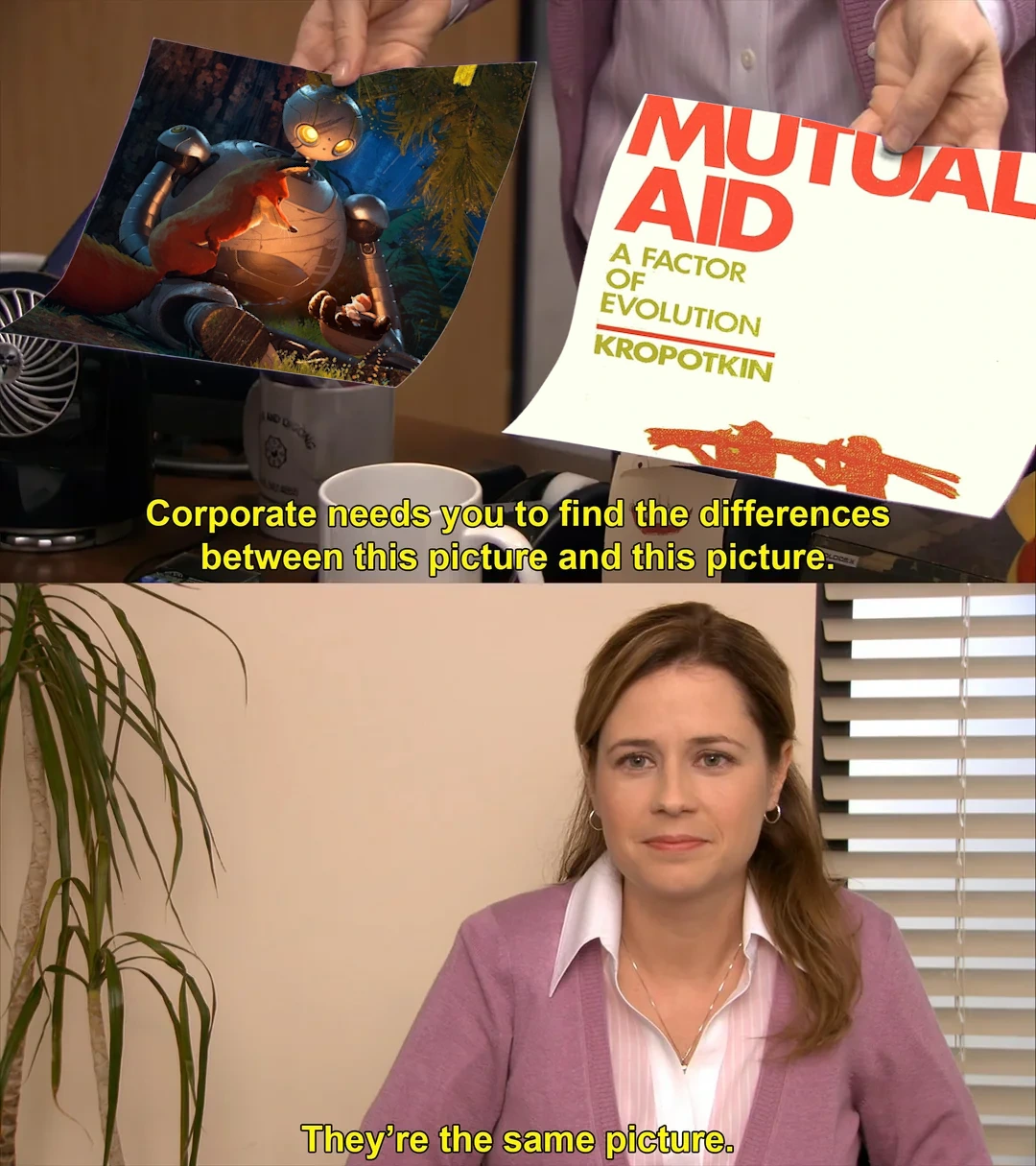 The Office meme format, what's her name is holding a picture of the movie The Wild Robot and Kropotkins Mutual Aid in each hand saying they're the same thing
