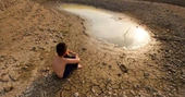Tehran began water rationing too late, officials admit as crisis deepens