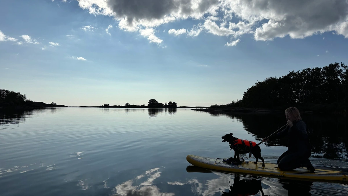Photo of a very clam sea with some islands in the background and a paddleboard with a dog looking like it's pointing the way to adventure.